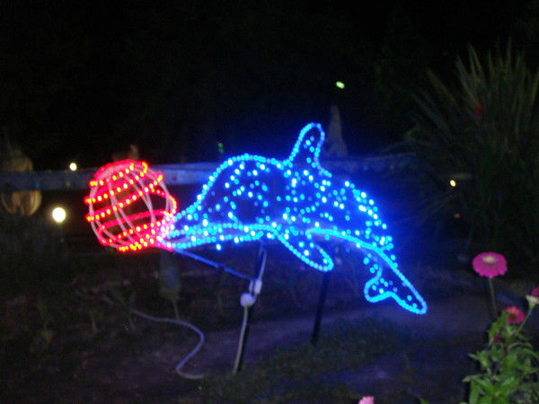 Елена Токарева