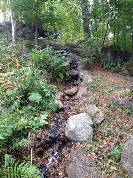 Нелли Зильман