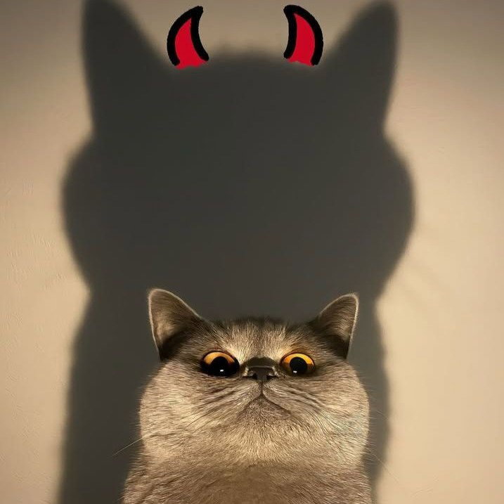 •°•ღдùƙùù Ąнгƹʌღ•°•