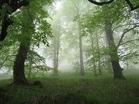 Школа №18 Симф Р-Н