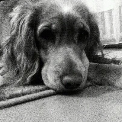 Людмила Касьянова