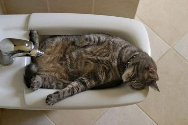 Хрямзев Хрюндик