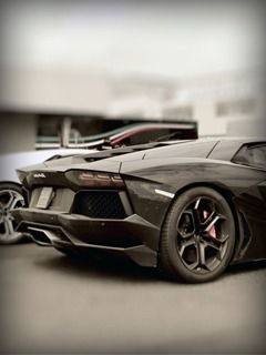 Данил Дитюк