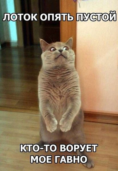 Сергей Пономарев