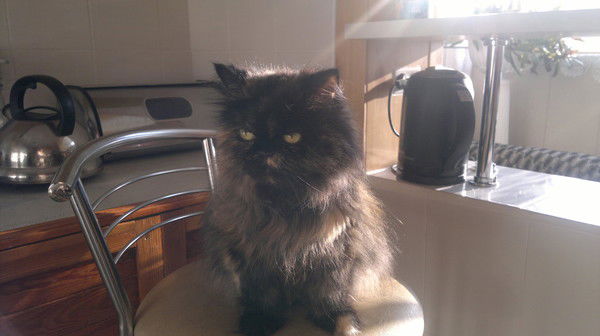 Галина Зайкина