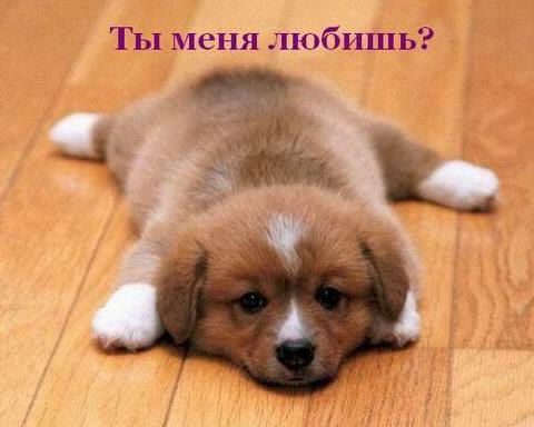 Даяна Джумабаева