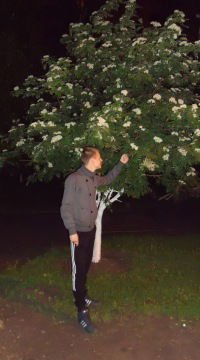 Константин Головин