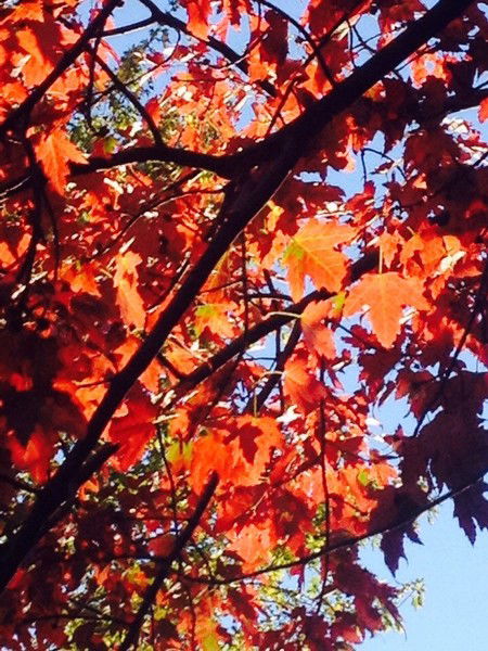 Круиз Круиз