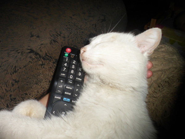 Алена Худякова