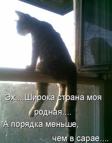 Наталья ..............