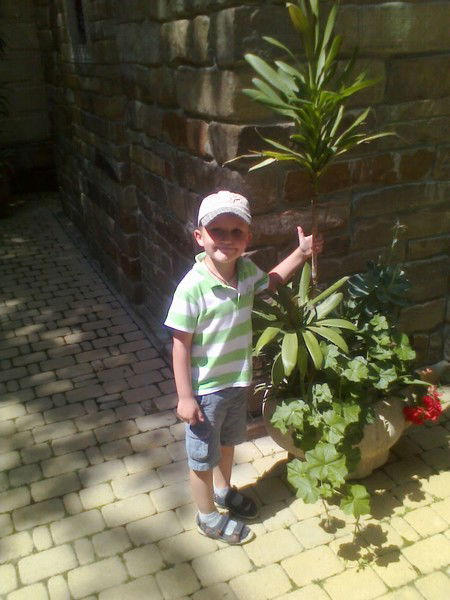 Алла Ажбекова