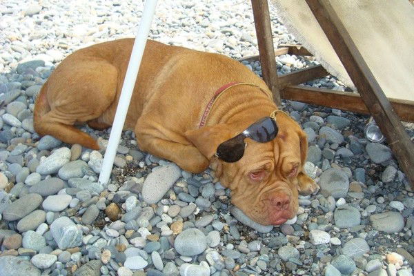 Андрей Торопов