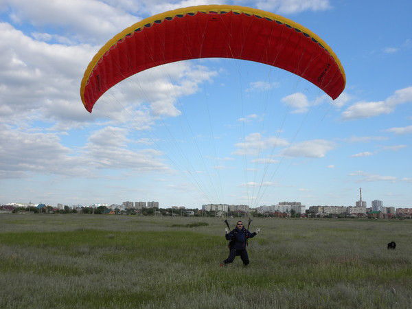 Владимир Перегудов