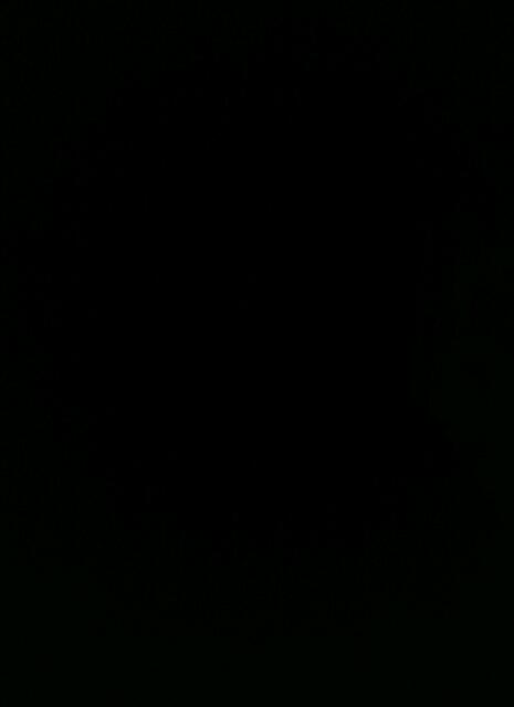 Мяхри Атаева