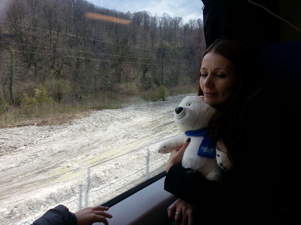 Алена Синицына