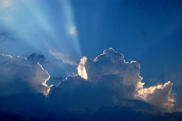 Рогонов Вадим