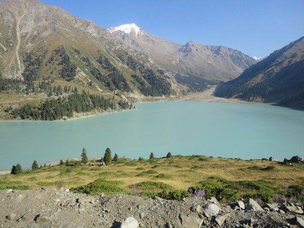 Максим Романенко