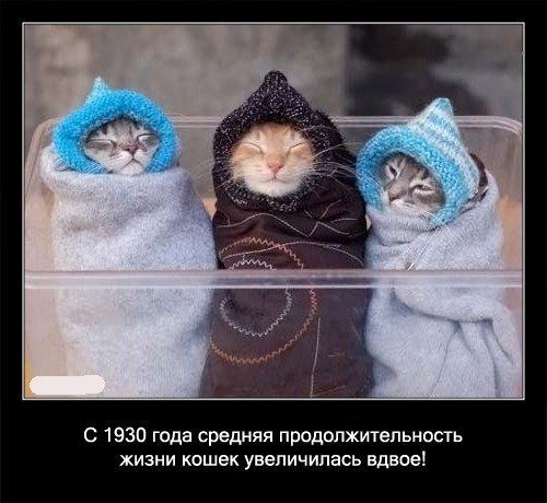 Елена Селянина