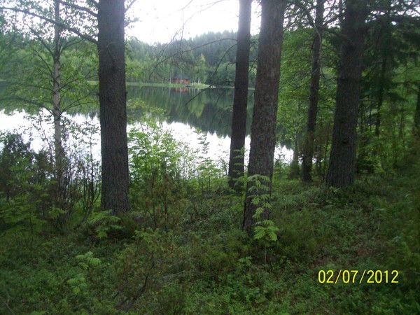 Светлана Долгова