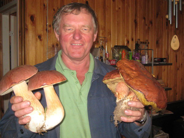 Николай Новиков