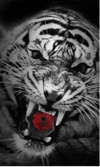 Сергей Сергеевич