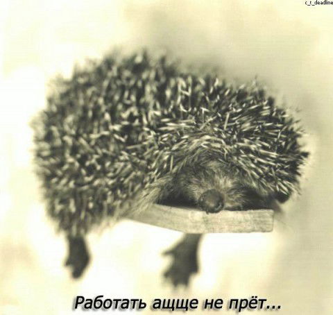 Елена Горлова