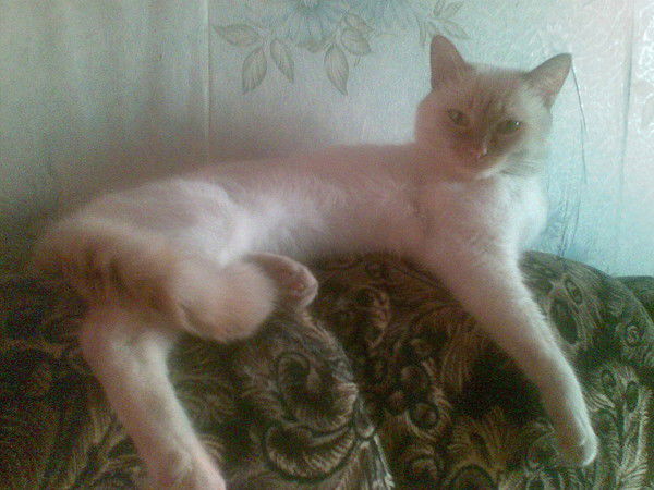 Евгения Постовалова