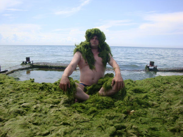 Александр Шаповалов