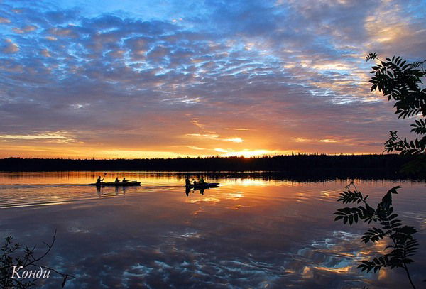 Алиса Похазникова