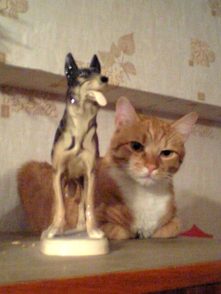 Стас Тройников