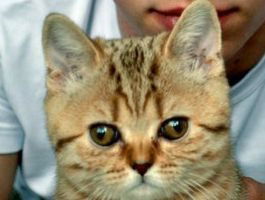 Вика Михайлова