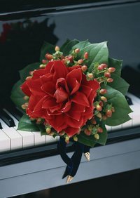 Чулпан Хайруллина