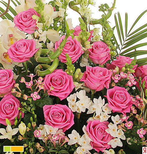 Наталья Локайчук