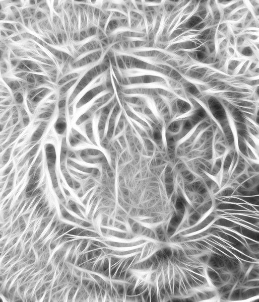 Павел Кузнецов