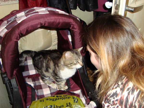 Елена Куличенко