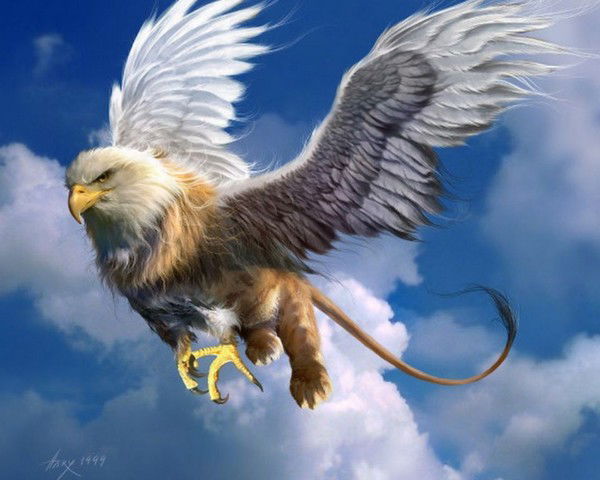 Ольга Когаленок