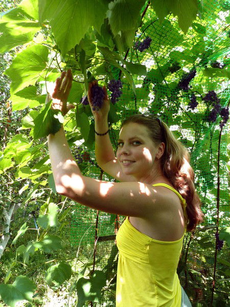 Наталья Коростелева