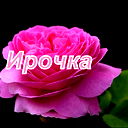 Ирина Согрина