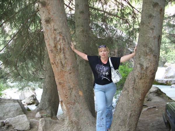 Елена Шорохова