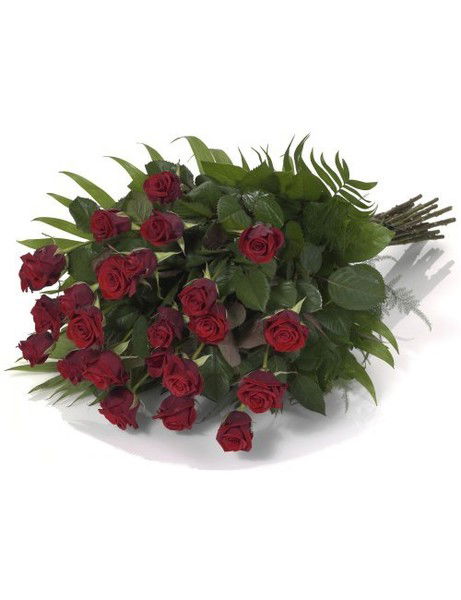 Ольга Ольга