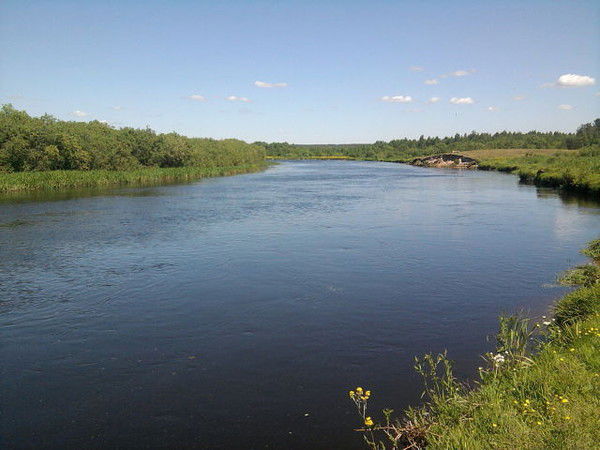 Ольга Кудрец