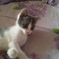 Мадина Абдувалиева