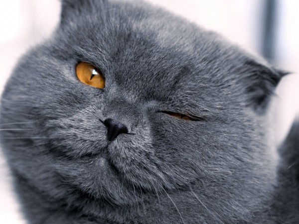 Анастасия Сталоверова