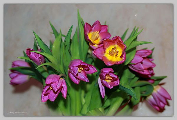 Кульбану (Галя) Ахметова (Жумадилова)