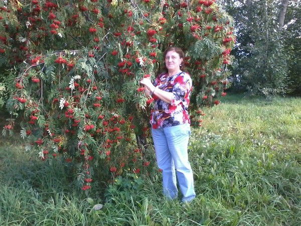 Светлана Золотарева