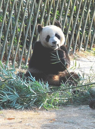 Малых Андрей