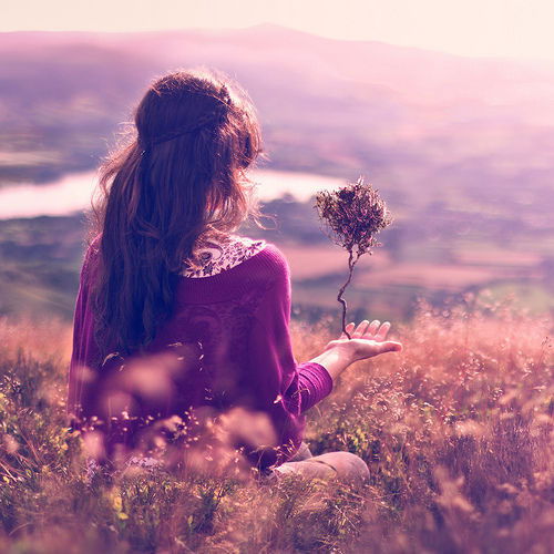 Айсу Ногойбаева