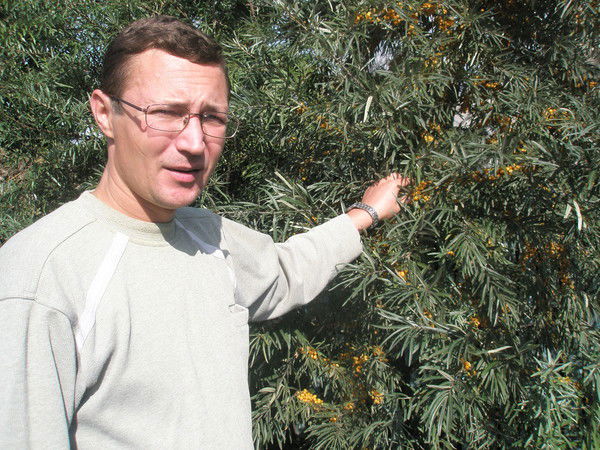 Георгий Ростальной