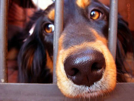 Валік Сушко