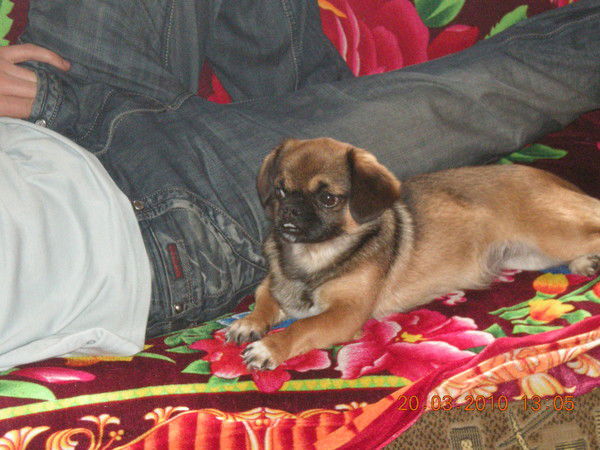 Олег Аминов